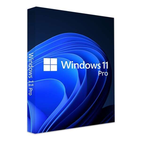 Microsoft Windows 11 Pro